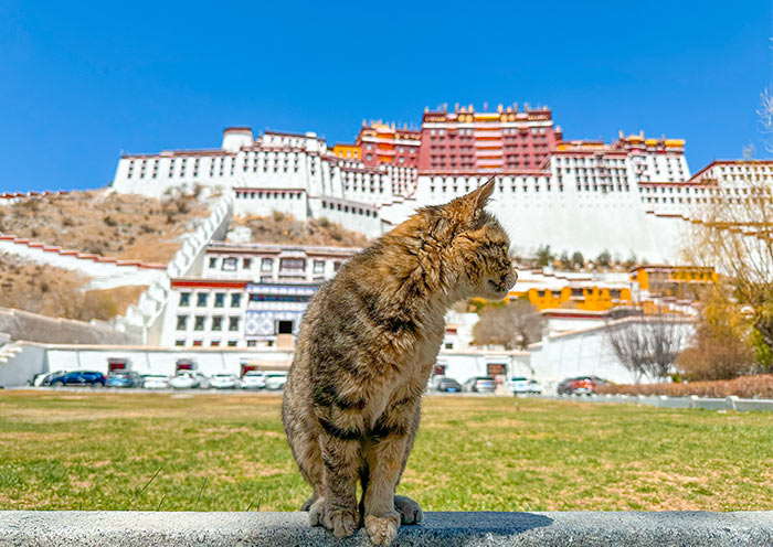 Tibet Planning Route: Lhasa to Everest